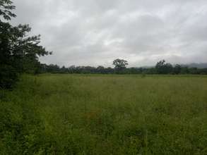 Area to be reforested