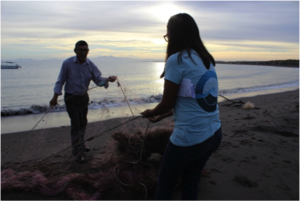 Cleaning up the beach