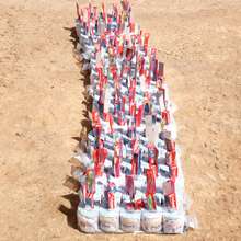 Care Packs ready to be distributed