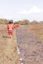 Fishing net laid-out in local field.