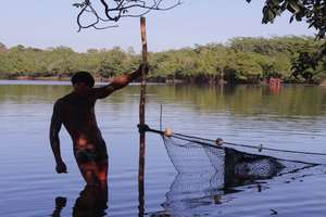 Net in-use in local river.