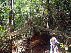 Rangers Dismantled the Abandoned Hunters Camp