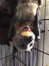 Mouth full of YUM!