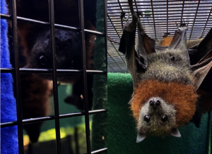 The pups say, "Thank you for helping me live!"