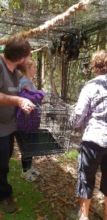 Unloading pups into bush release cage