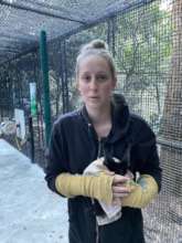 Lauren putting a bat from care into the cage