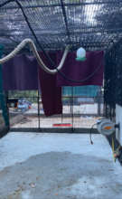 New flooring and netting