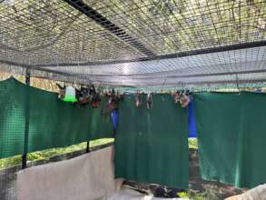 First group to release cage 9 March 2024