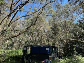 New cage located under flying fox camp.