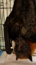 Mum and newborn 3