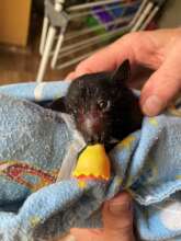 First day in care