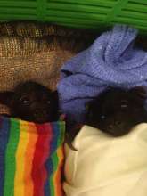 Will and Jada when they first arrived