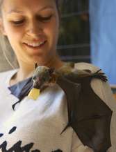 Volunteer carer with a young orphan