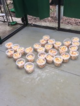 here is the food for the creche