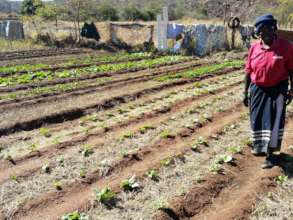 One of our community gardens!