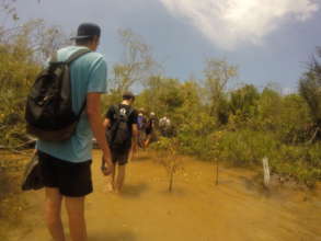 Making our way through the mangroves