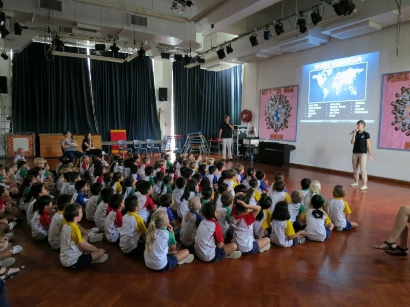 Rescue & Protect Sea Turtles in Thailand and Asia