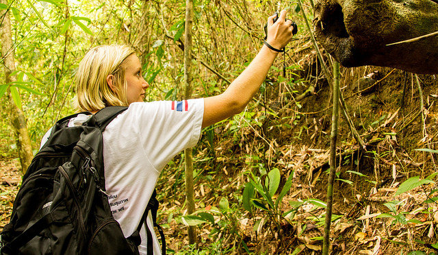 Rescue & Protect Sea Turtles in Thailand and Asia