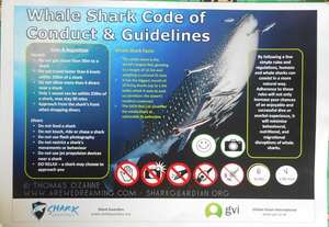 One of our Whale Shark Awareness posters