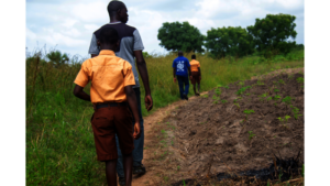 IOM visits Kwame and Yao to monitor their progress