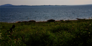 The Volta Lake, Ghana