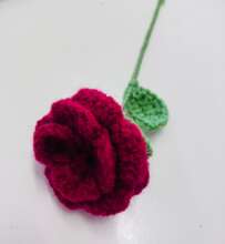 A Single Rose for Peace
