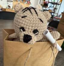 headed to a new home in America