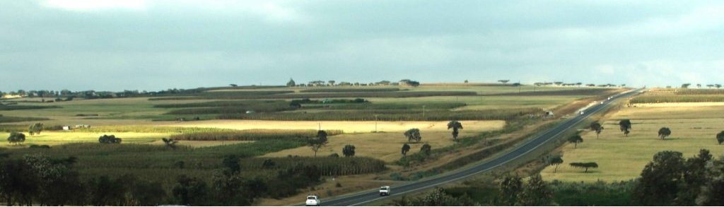 a beautiful natural landscape of vegetation