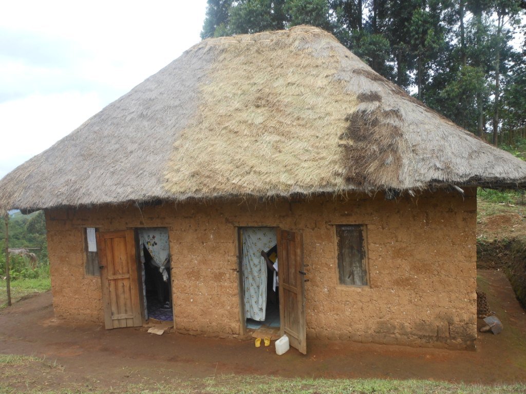 Community Health Care Worker Project