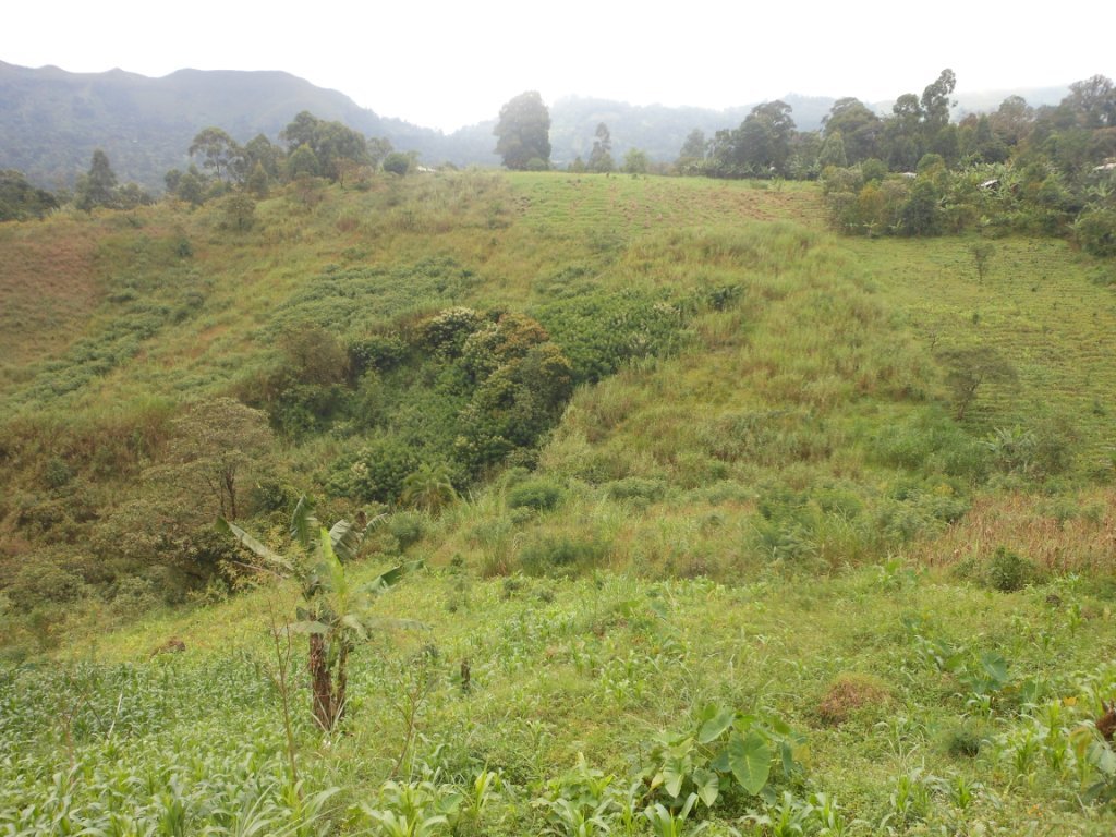 Community Health Care Worker Project