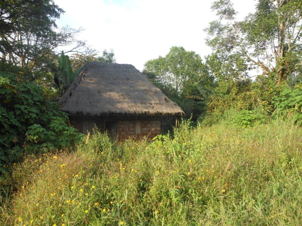 Community Health Care Worker Project