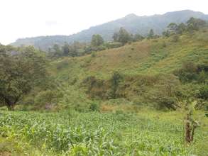 Partial View of Ngemsebo Remote, Rural Community