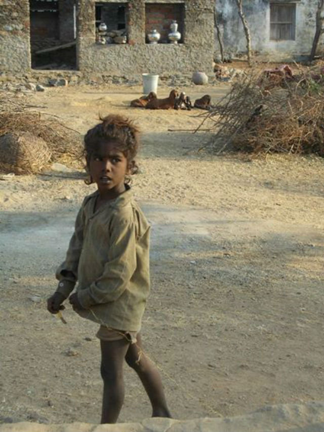 Provide Gift & food to 700 Street Children