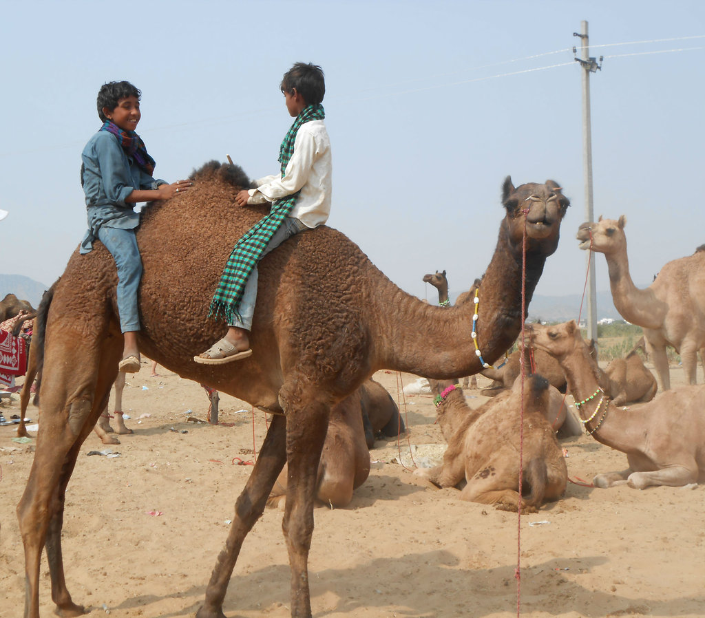 Provide Gift & food to 700 Street Children