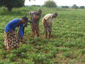 4 Beneficiary Youths in their Peanut Farms