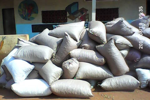 Help 40 Zambian Youth Become Peanut Farmers