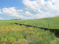 Help Fund the Mni Water Restoration Camp