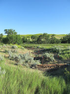 Help Fund the Mni Water Restoration Camp