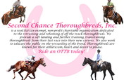Saving Retired Thoroughbred Racehorses