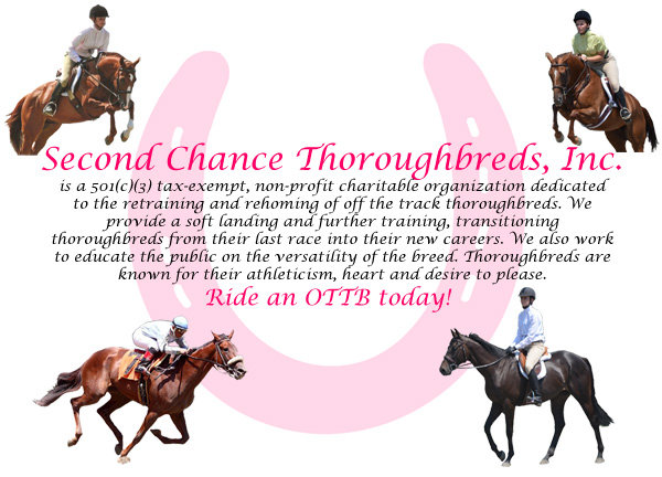 Saving Retired Thoroughbred Racehorses