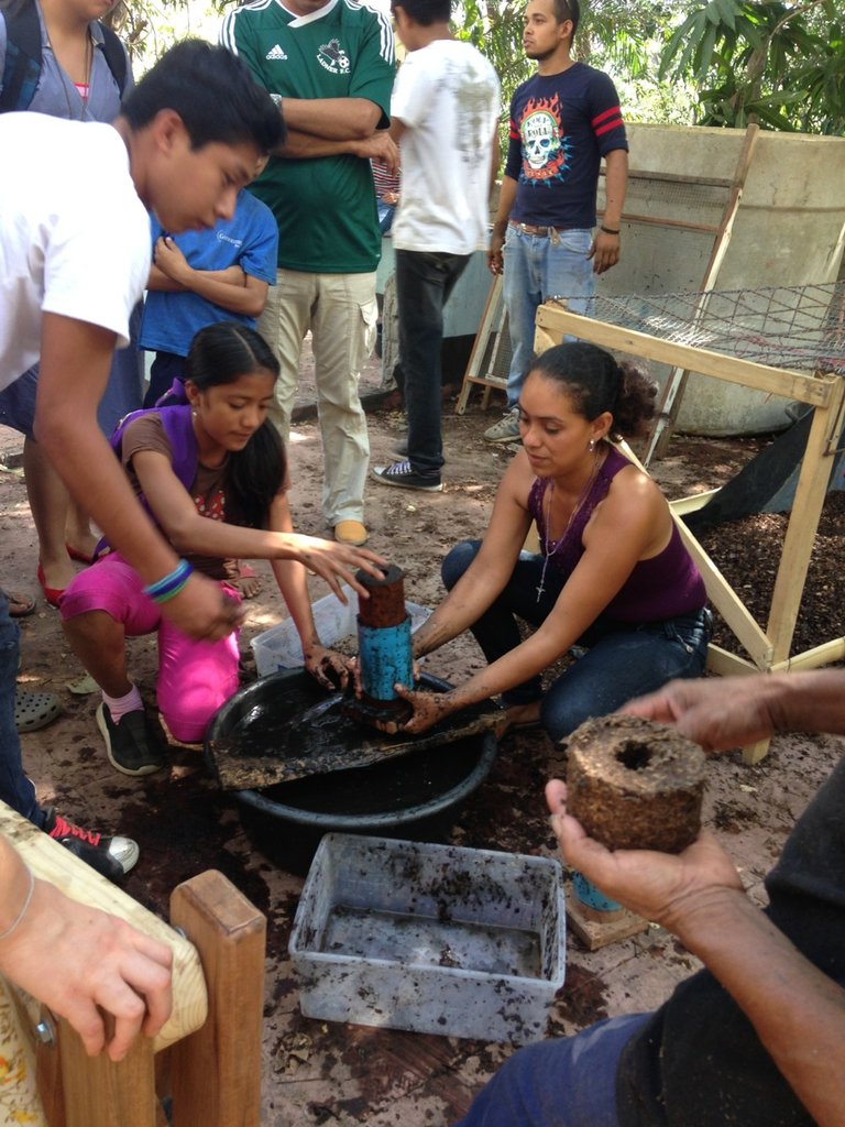 Group making briquettes during practical exercises