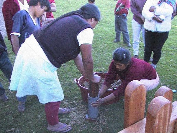 Sustainable Fuel Production for Poor Rural Women