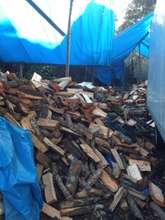 FUEL WOOD the source of the problem