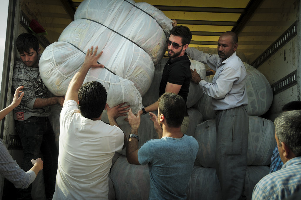 Emergency Aid for Displaced People in Kurdish Iraq