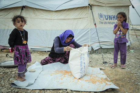 Emergency Aid for Displaced People in Kurdish Iraq