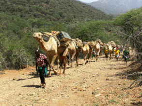 CHAT Camel Mobile going into arid areas