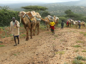 CHAT Camel Mobile