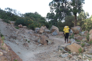 Agnes transverses tough areas to share infor on FP