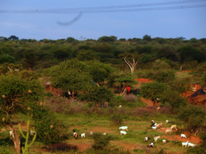 Lush green village of Katse