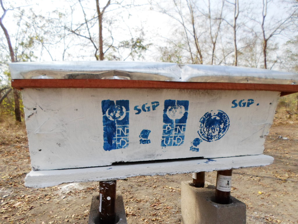 Bring smile to 300villagers Benin with beekeeping!